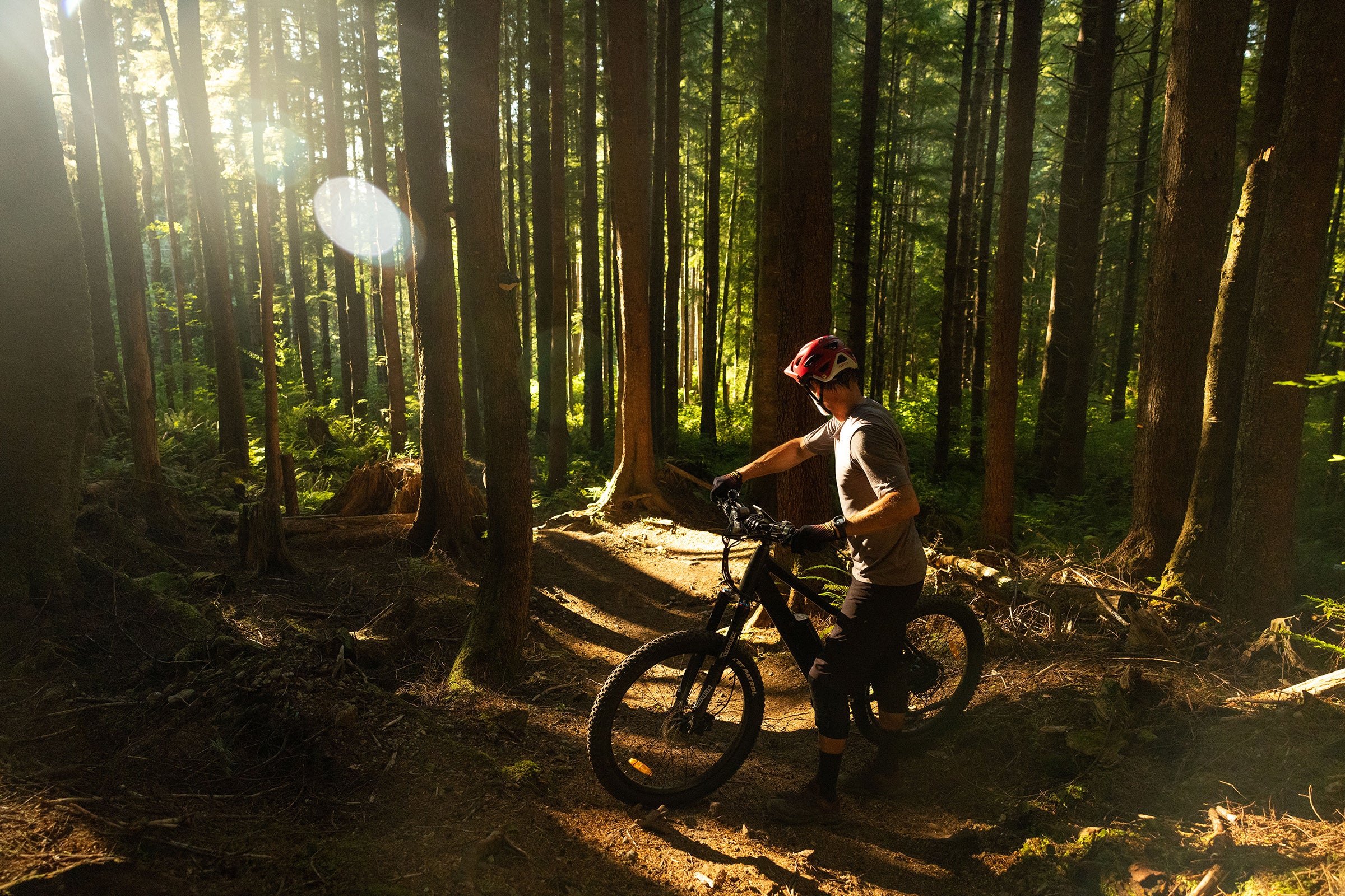 SHRED lifestyle photo 5