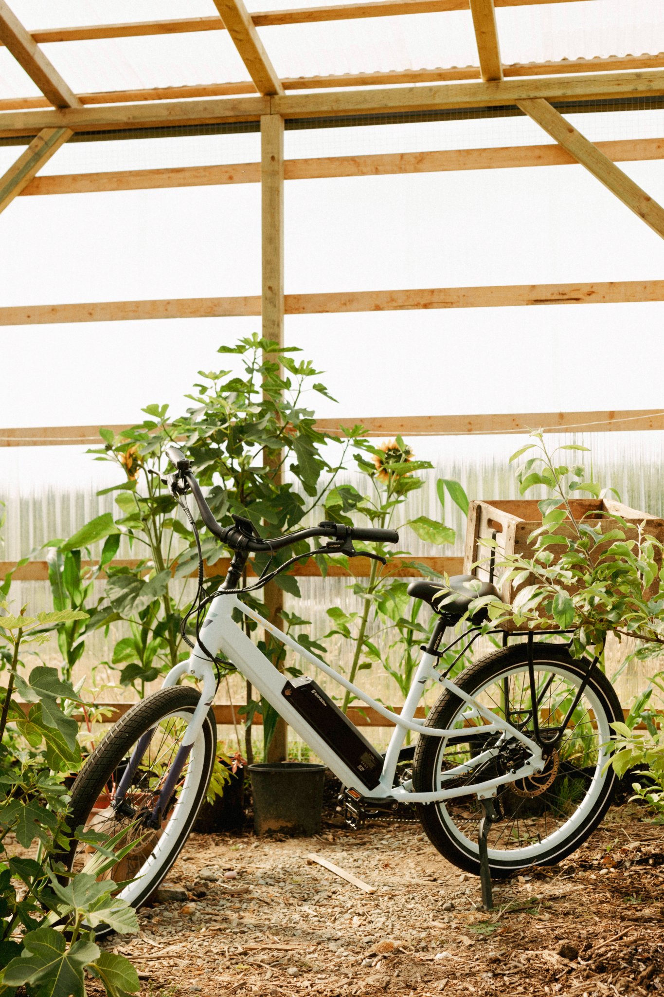 sunny-day lifestyle photo 1