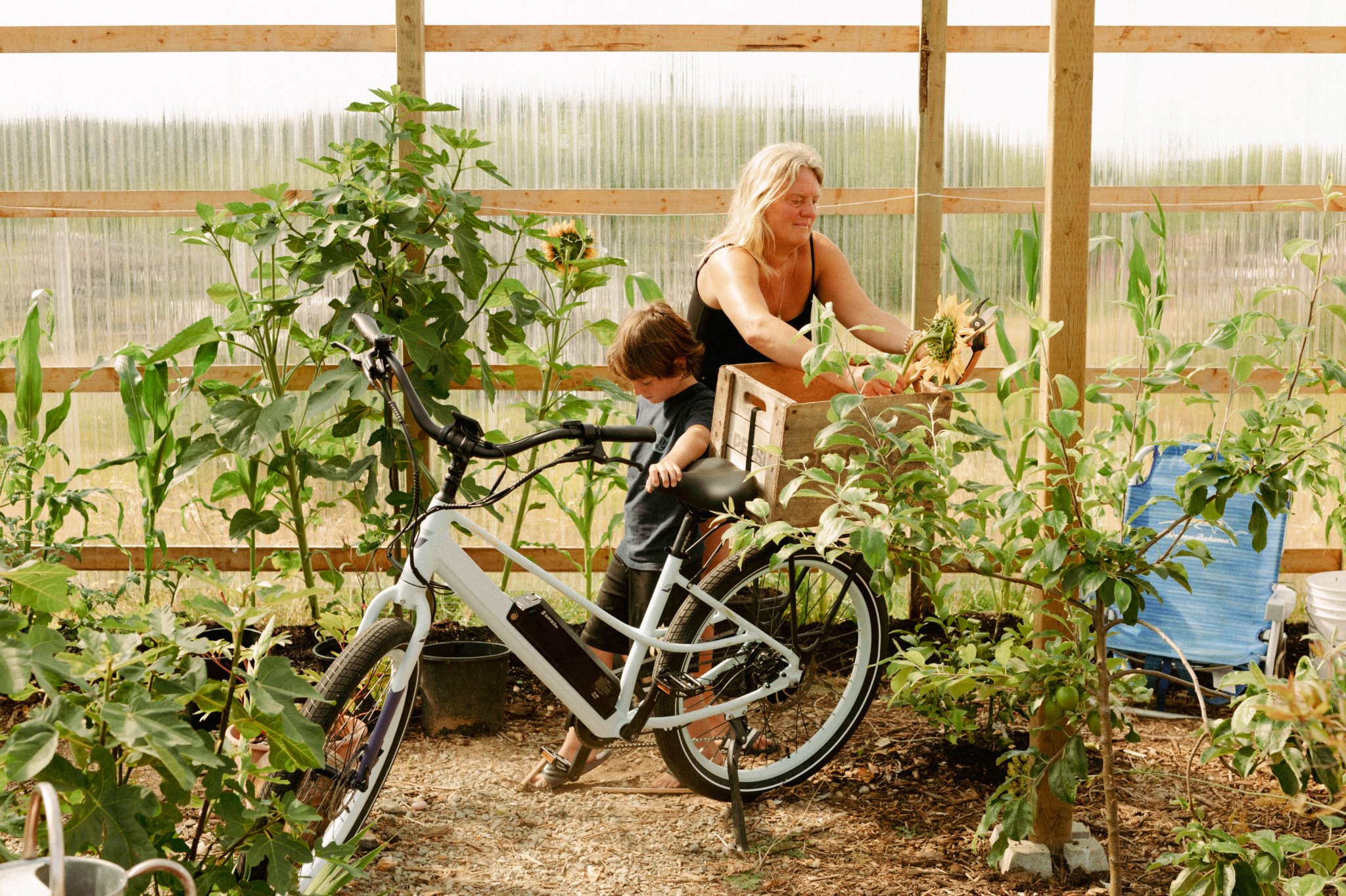 sunny-day lifestyle photo 2