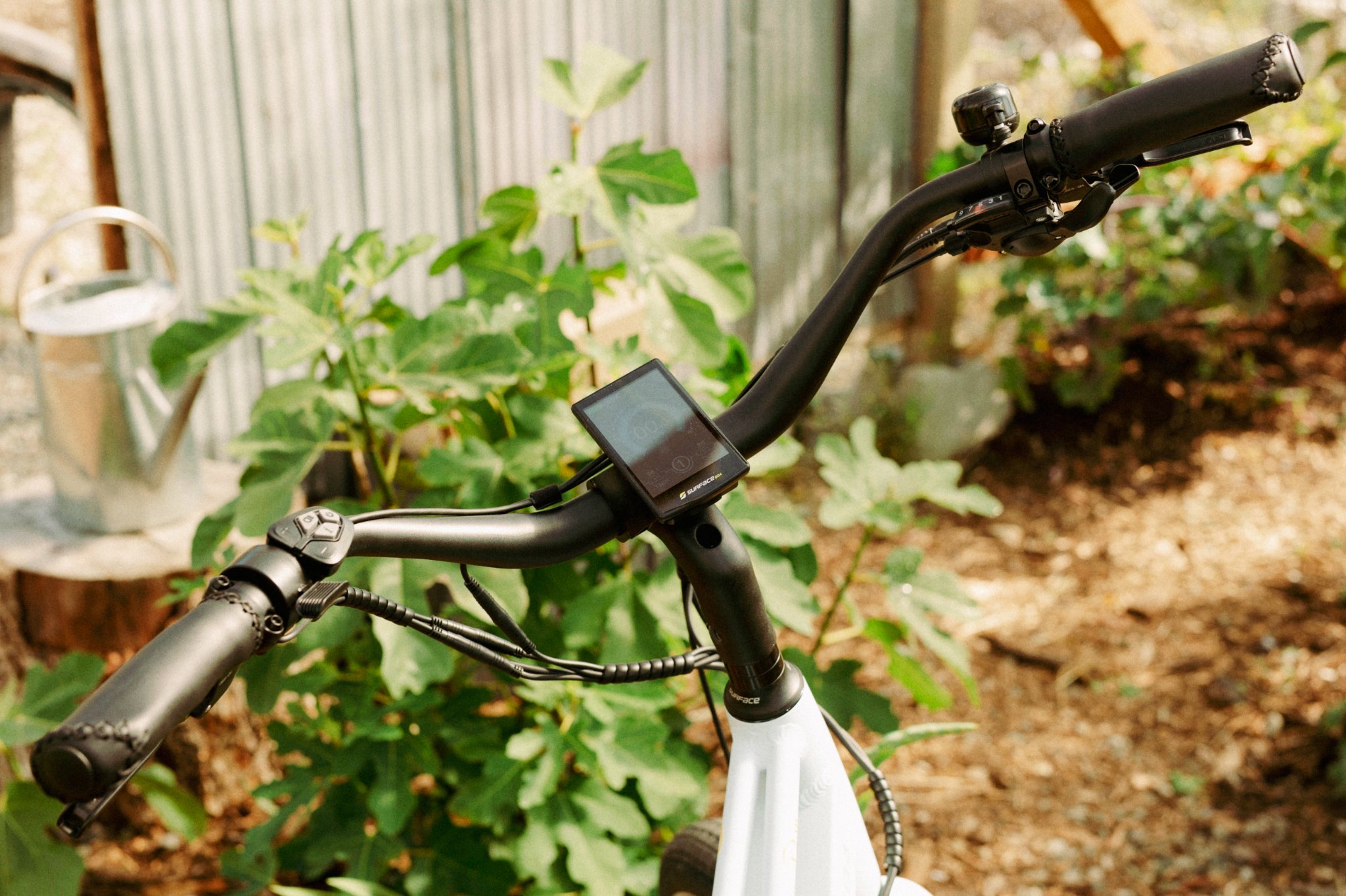 sunny-day lifestyle photo 6