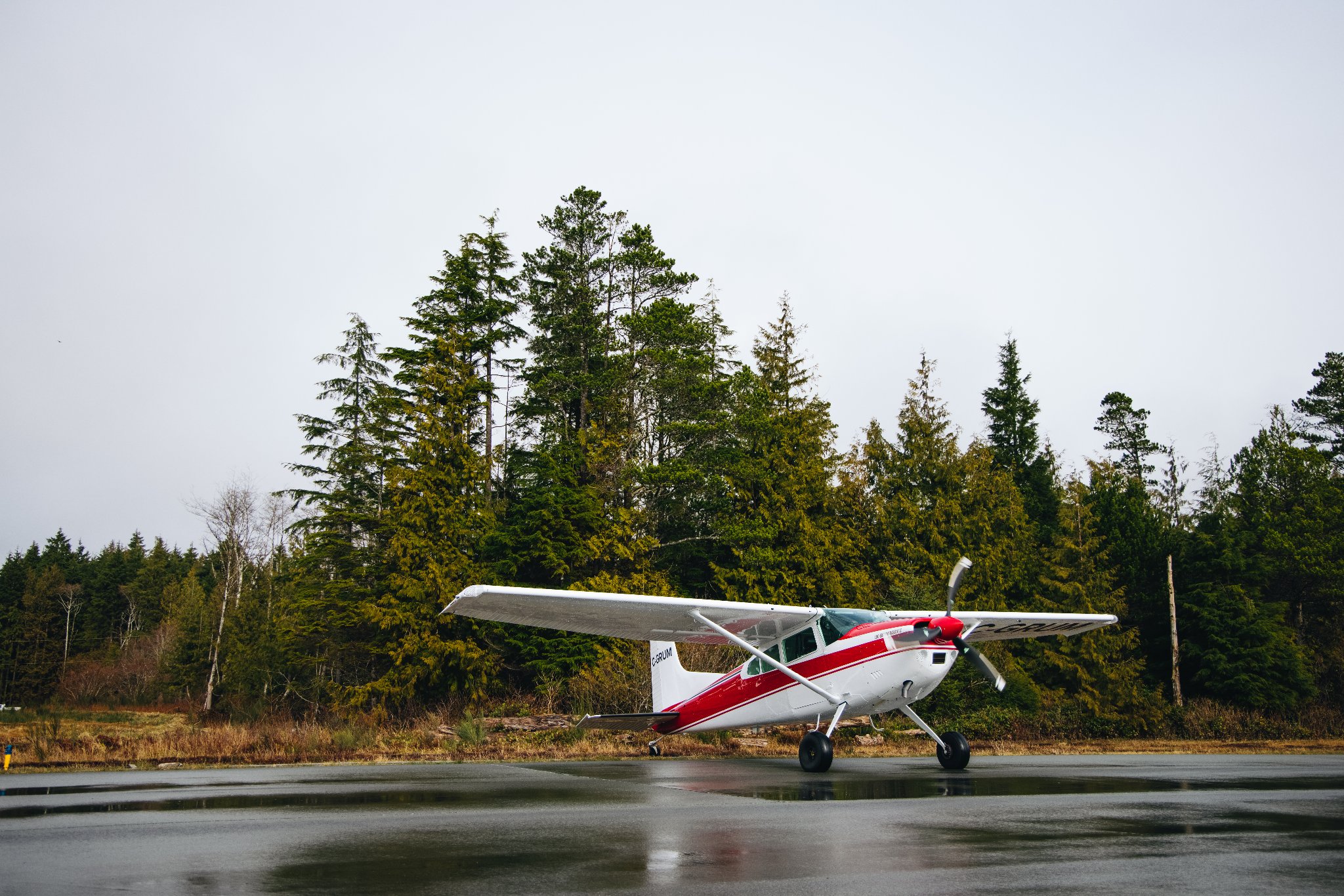 twist lifestyle photo 1