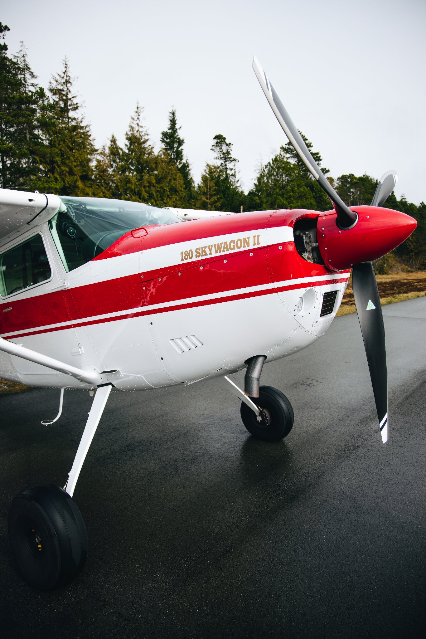 twist lifestyle photo 3